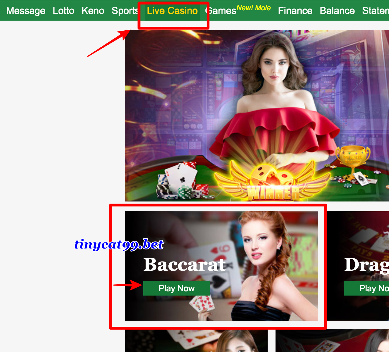 Chơi bài Baccarat Tinycat99, choi bai baccarat tinycat99, cách chơi baccarat tinycat99, cach choi baccarat tinycat99, baccarat tinycat99