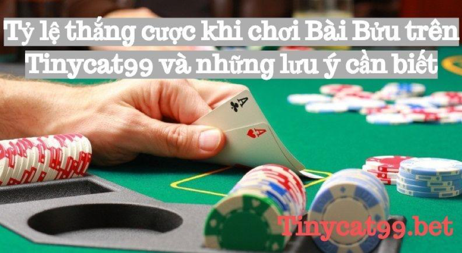 Chơi bài bửu trên tinycat99, choi bai buu tinycat99, bài bửu tinycat99, bai buu tinycat99, cách chơi bài bửu tinycat99, cach choi bai buu tinycat99