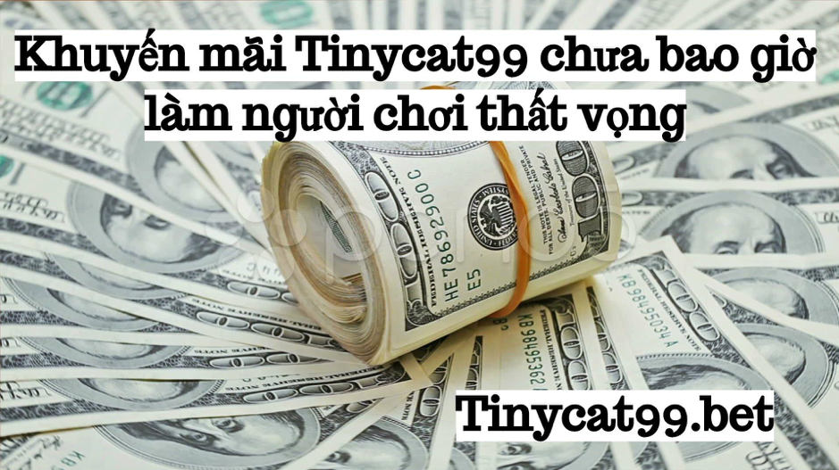 khuyến mãi tinycat99