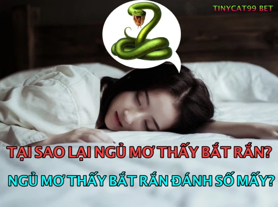 Mơ thấy Bắt Rắn