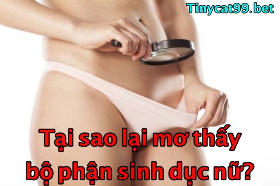 Mơ thấy bộ phận sinh dục phụ nữ