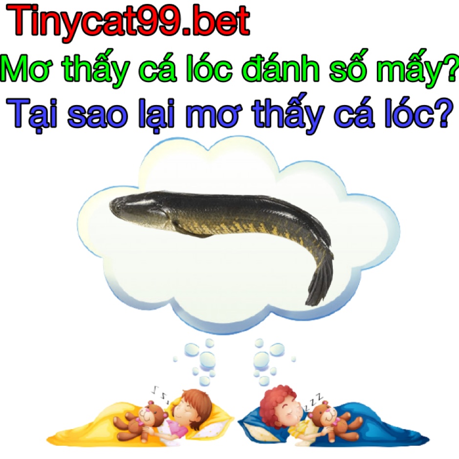 mơ thấy cá lóc