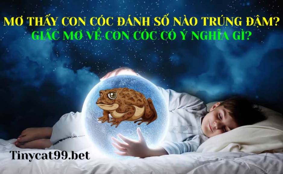 mơ thấy con cóc