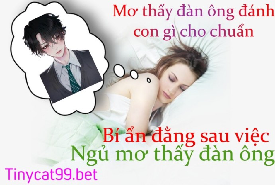 mơ thấy đàn ông, mơ thấy đàn ông đánh con gì, mo thay dan ong