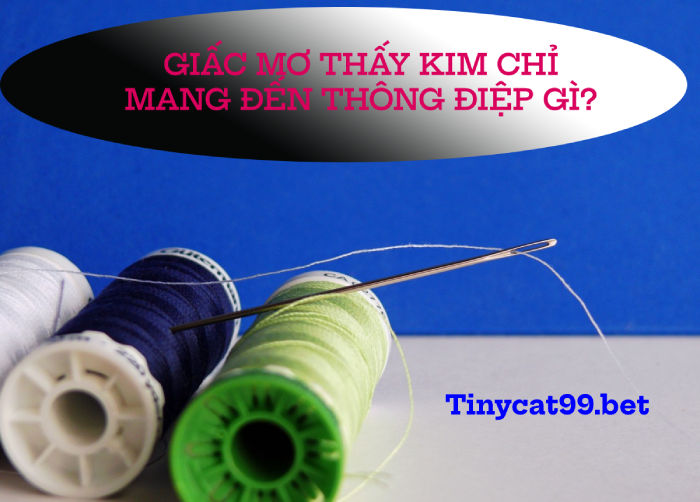 Mơ thấy kim chỉ đánh con gì may mắn