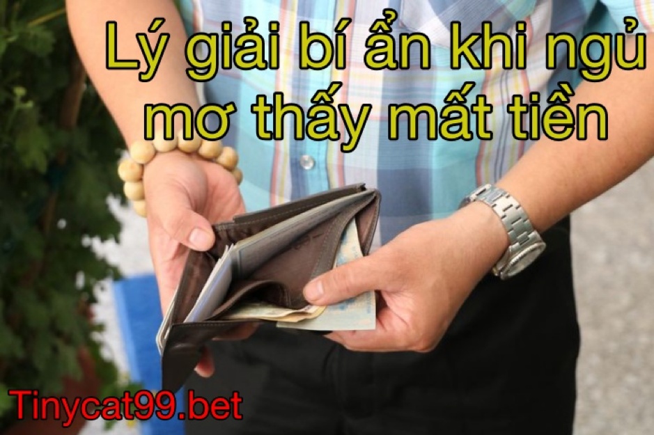 mơ thấy mất tiền