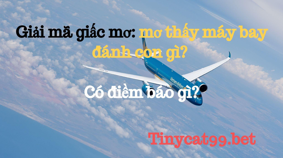 Mơ thấy máy bay đánh con gì?