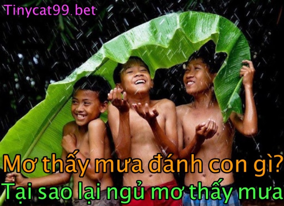 Mơ thấy mưa 