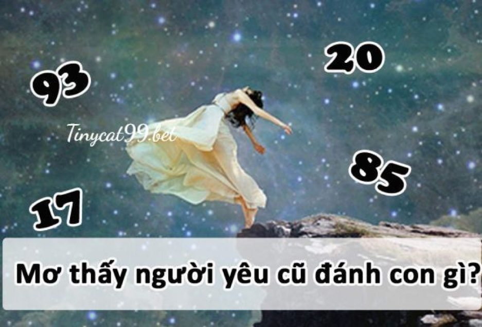 mơ thấy người yêu cũ đánh con gì, mơ thấy người yêu cũ đánh số mấy, mo thay nguoi yeu cu, mo nguoi yeu cu, mơ thấy người yêu cũ, mơ người yêu cũ