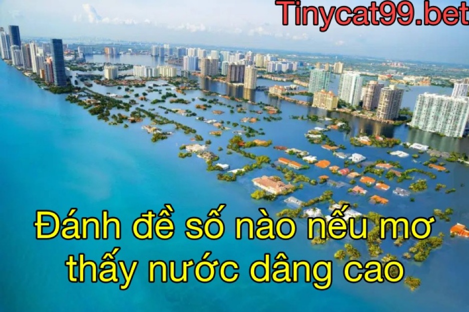 Mơ thấy nước dâng cao