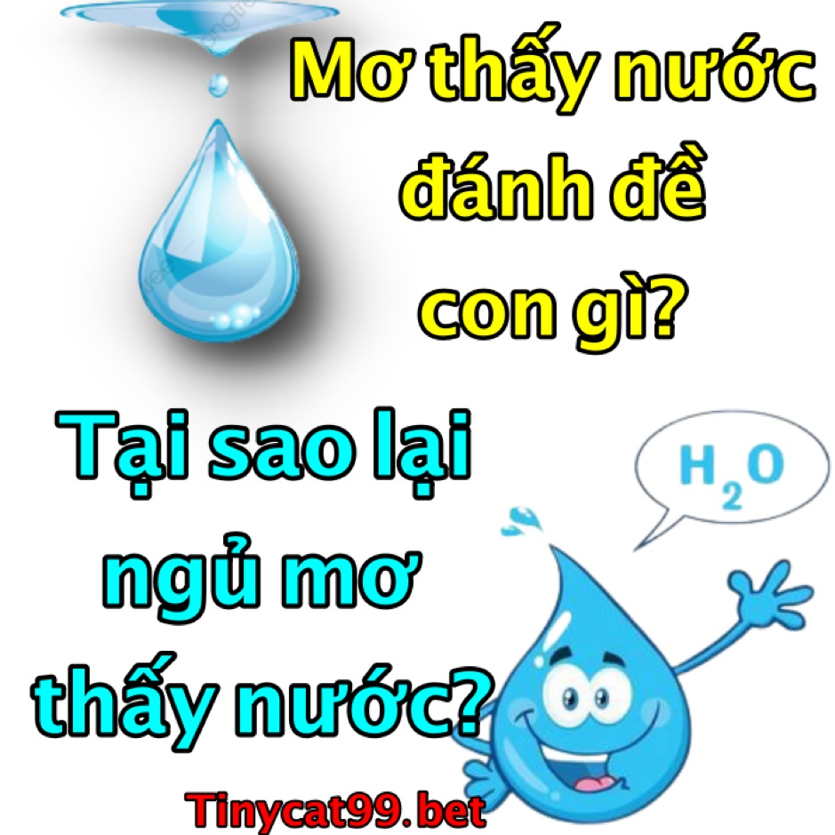 mơ thấy nước, mơ thấy nước đánh con gì