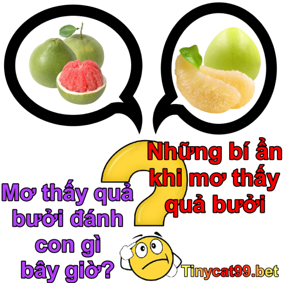 mơ thấy quả bưởi, mơ thấy trái bưởi, mơ thấy bưởi