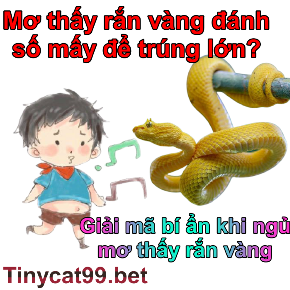 mơ thấy rắn vàng, mơ thấy con rắn vàng, giải mã giấc mơ rắn vàng, sổ mơ lô đề rắn vàng, rắn vàng số mấy