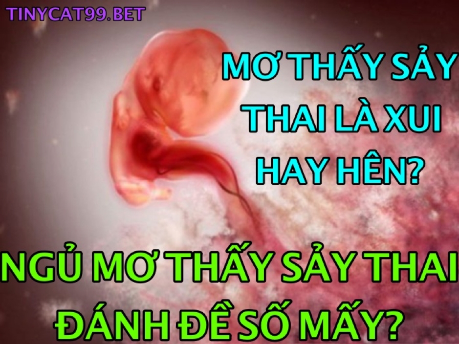 mơ thấy sảy thai