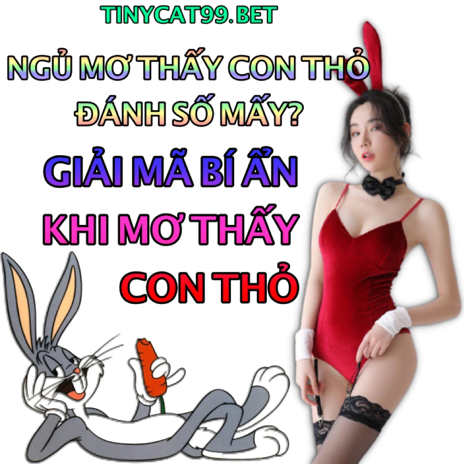 mơ thấy thỏ