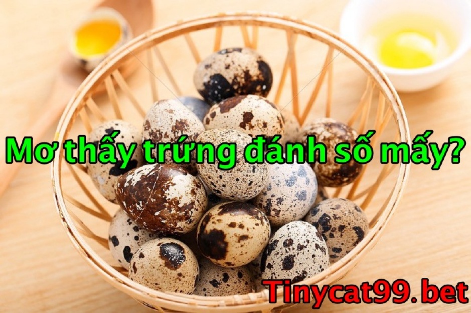 mơ thấy trứng