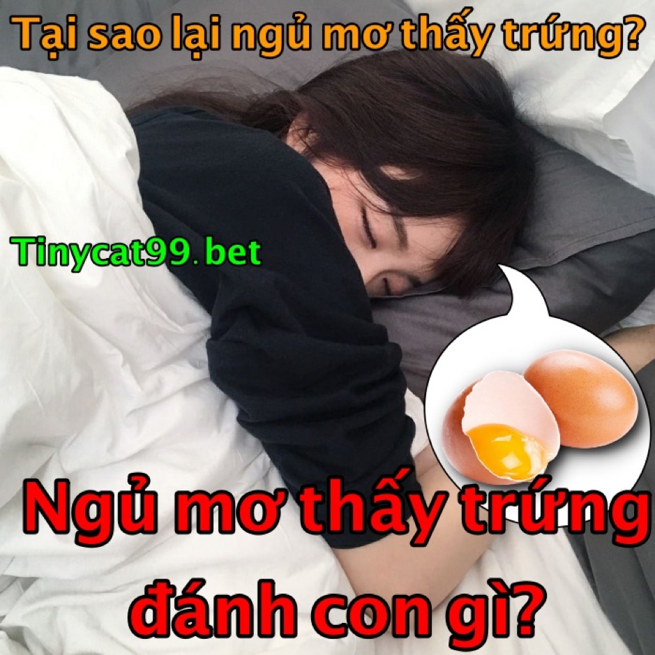 mơ thấy trứng