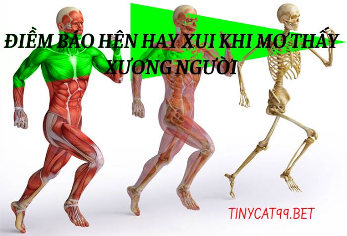 Mơ thấy xương người đánh con gì phát tài