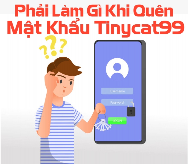 Phải làm gì khi quên mật khẩu tinycat99?