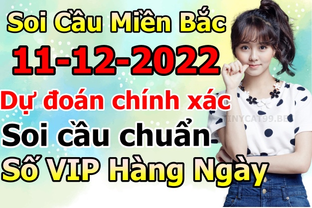 soi cầu xsmb 11-12-2022, soi cầu mb 11-12-2022, dự đoán xsmb 11-12-2021, btl mb 11-12-2022, dự đoán miền bắc 11-12-2022, chốt số mb 11-12-2022, soi cau mien bac 11 12 2022