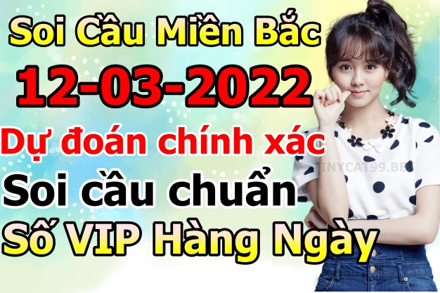 soi cầu xsmb 12-03-2022, soi cầu mb 12-03-2022, dự đoán xsmb 12-03-2022, btl mb 12-03-2022, dự đoán miền bắc 12-03-2022, chốt số mb 12-03-2022, soi cau mien bac 12 03 2022