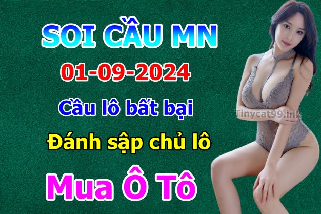 soi cầu xsmn 01-09-2024, soi cầu mn 01-09-2024, dự đoán xsmn 01-09-2024, btl mn 01-09-2024, dự đoán miền nam 01-09-2024, chốt số mn 01-09-2024, soi cau mien nam 01 09 2024