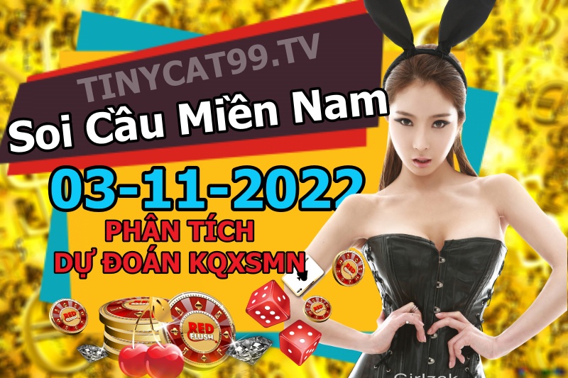 soi cầu xsmn 03-11-2022, soi cầu mn 03-11-2022, dự đoán xsmn 03-11-2022, btl mn 03-11-2022, dự đoán miền nam 03-11-2022, chốt số mn 03-11-2022, soi cau mien nam 03 11 2022