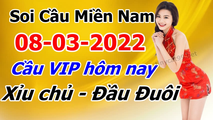 soi cầu xsmn 08 03 2022, soi cầu mn 08-03-2022, dự đoán xsmn 08-03-2022, btl mn 08-03-2022, dự đoán miền nam 08-03-2022, chốt số mn 08-03-2022, soi cau mien nam 08 03 2022