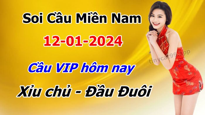 soi cầu xsmn 12-01-2024, soi cầu mn 12-01-2024, dự đoán xsmn 12-01-2024, btl mn 12-01-2024, dự đoán miền nam 12-01-2024, chốt số mn 12-01-2024, soi cau mien nam 12-01-2024