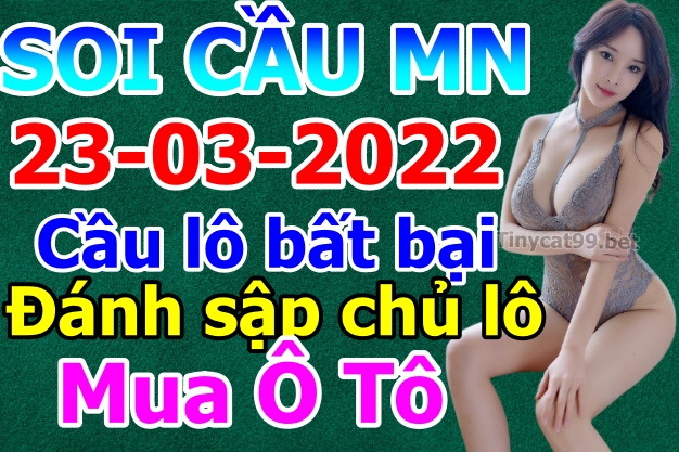 soi cầu xsmn 23 03 2022, soi cầu mn 23-03-2022, dự đoán xsmn 23-03-2022, btl mn 23-03-2022, dự đoán miền nam 23-03-2022, chốt số mn 23-03-2022, soi cau mien nam 23 03 2022