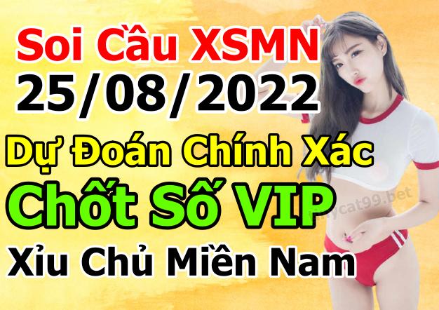 soi cầu xsmn 25-08-2022, soi cầu mn 25-08-2022, dự đoán xsmn 25-08-2022, btl mn 25-08-2022, dự đoán miền nam 25-08-2022, chốt số mn 25-08-2022, soi cau mien nam 25 08 2022