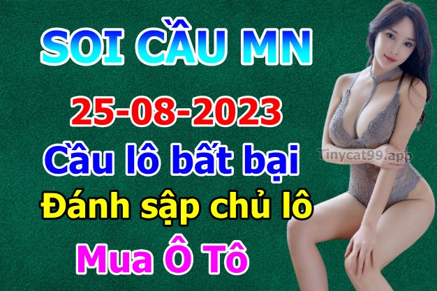 soi cầu xsmn 25-08-2023, soi cầu mn 25-08-2023, dự đoán xsmn 25-08-2023, btl mn 25-08-2023, dự đoán miền nam 25-08-2023, chốt số mn 25-08-2023, soi cau mien nam 25-08-2023