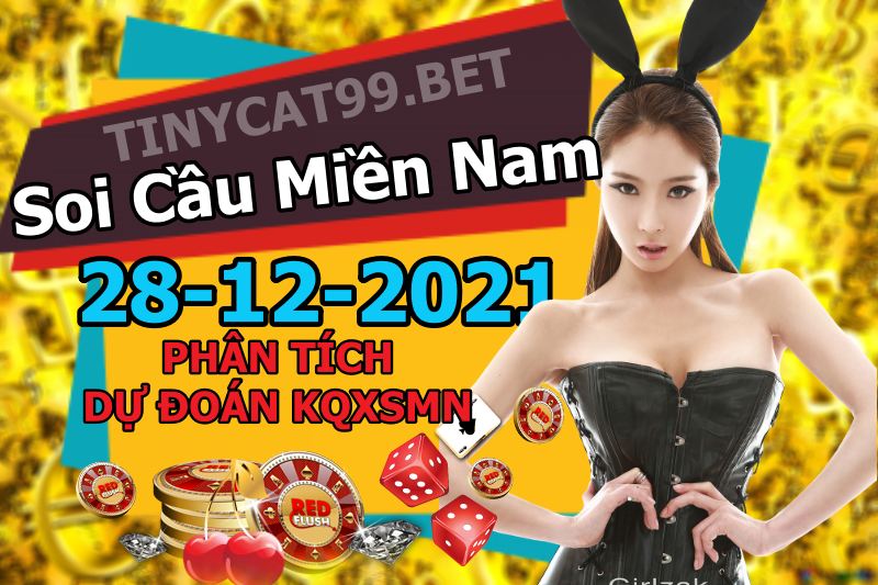 soi cầu xsmn 28 12 2021, soi cầu mn 28-12-2021, dự đoán xsmn 28-12-2021, btl mn 28-12-2021, dự đoán miền nam 28-12-2021, chốt số mn 28-12-2021, soi cau mien nam 28 12 2021