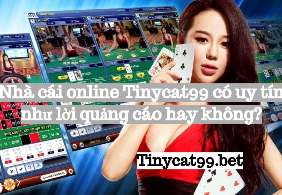 Tinycat99 có uy tín không