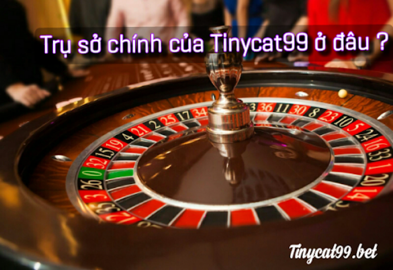 Trụ sở chính của Tinycat99 ở đâu?