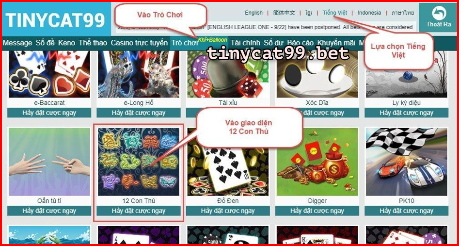 Tỷ lệ đặt cược 12 con thú tinycat99, ty le dat cuoc 12 con thu tinycat99, 12 con thu tinycat99